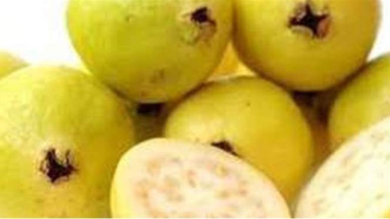 تفسير حلم الجوافة