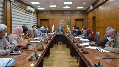 محافظ الدقهلية يتابع مشروع تطوير مزلقانات السكك الحديدية