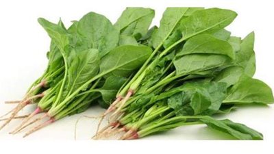 طريقة تخزين السبانخ استعدادا لشهر رمضان