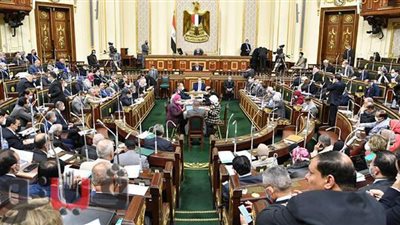 برلماني: الكافيهات أصبحت أكثر من زرائب المواشي في الأراضي الزراعية