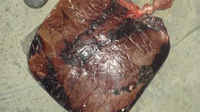 ضبط 99 طن مخللات و700 كيلو كبدة فاسدة بأسيوط