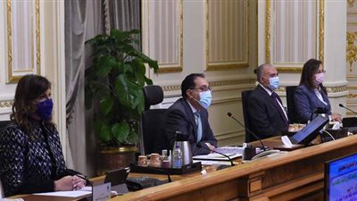 الوزراء: توفير وسائل تنظيم الأسرة بالمجان وتدريب مليون سيدة على ريادة الأعمال