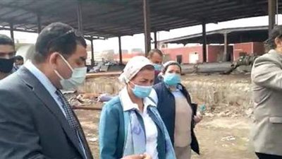 البيئة: إغلاق مصنع للأعلاف مخالف بيئيا بالإسكندرية