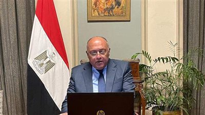 وزير الخارجية يؤكد تطلع مصر للاستمرار في تعزيز التعاون مع السويد