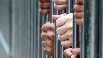 حبس مسجلين خطر بتهمة حيازة 120 طربة حشيش فى الشرقية