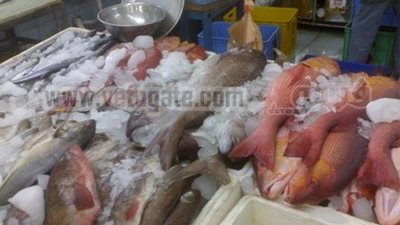 اليوم..ارتفاع أسعار 