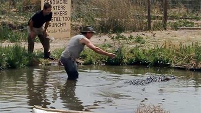 تمساح يهاجم مزارعا بشكل مفاجئ (فيديو وصور)