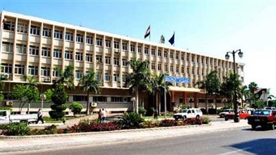 نفوق كميات كبيرة من الأسماك ببحيرة إدكو