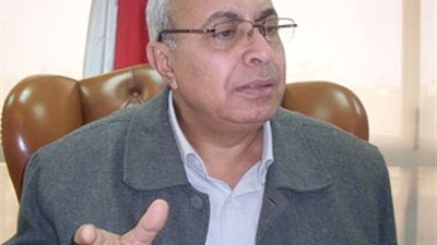 سعد عبد الرحمن: «الثقافة» في الدستور «حبر على ورق»