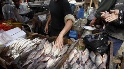 «شعبة الأسماك»: توقعات بتراجع الأسعار عقب عيد الفطر