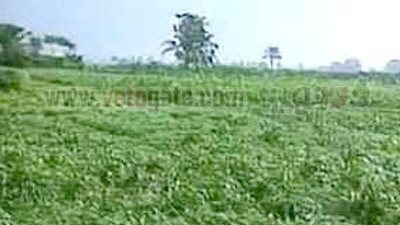 أمن البحيرة يستعيد 1100فدان لـ