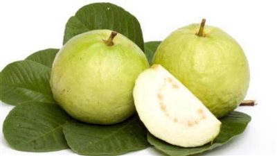 للوقاية من نزلات البرد.. تعلمي طريقة عمل مشروب ورق الجوافة