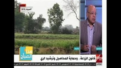 حامد عبد الدايم: القطن والذرة البديل المناسب لزراعة الأرز