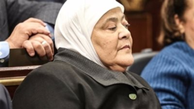 برلمانية: قانون الري الجديد يحافظ على الثروة المائية