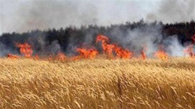 حريق بمحصول القمح في الصالحية الجديدة