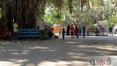 بالصور.. إقبال متوسط على حديقة الأسماك في ثالث أيام العيد