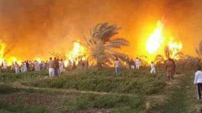 السيطرة على حريقين في زراعات «شنرا» و«صفط النور» ببني سويف