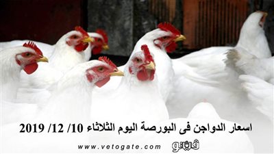 اسعار الدواجن فى البورصة اليوم الثلاثاء 10/ 12/ 2019