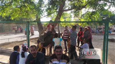 بالصور.. إقبال مواطني الإسكندرية على حديقة الحيوان
