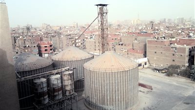 وقف مطحن بالقليوبية لوجود مخالفات بـ50 مليون جنيه