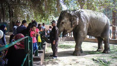 35 ألف مواطن زاروا حديقة الجيزة بإمبابة خلال إجازة العيد