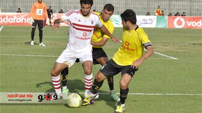 بالفيديو والصور.. 