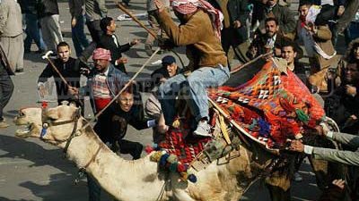 تقصى الحقائق