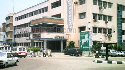 25 مليون جنيه لصرف أجور العاملين بصندوق الخدمات بالشرقية