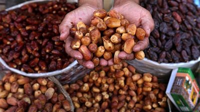 توقيع عقد لإنشاء مخازن للتمور المبردة بالواحات البحرية