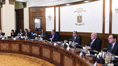 تعديلات مجلس الوزراء على حالات منح الجنسية المصرية للأجانب