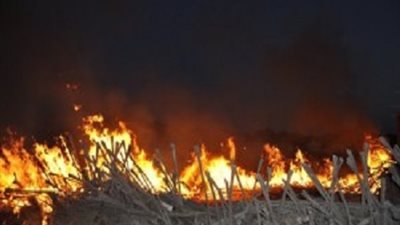 السيطرة على حريق بإحدى زراعات القمح بقرية «النويرة» ببني سويف