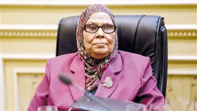 أمنة نصير: النقاب ضد أمن الدولة وليس من الإسلام