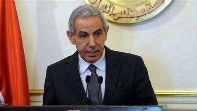 طارق قابيل يبحث مع وزيرة تجارة الاتحاد الأوراسي خطة مفاوضات التجارة