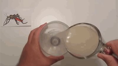 طرق طبيعية للتخلص من الناموس