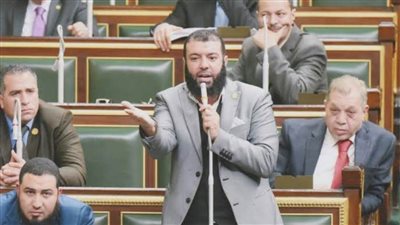 برلمانية النور: طلبنا من الموظفة المنتقبة التدخل ورفضت.. ومنزعجين من التنمر ضدها