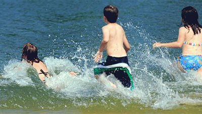 أرقام تليفونات مستشفيات الساحل الشمالي لعلاج لدغات قناديل البحر