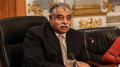 نائب تحت قبة البرلمان: وزير الري في غيبوبة