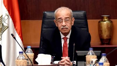 رئيس الوزراء: المصريون يدفعون ثمن الإصلاح الاقتصادي بسبب تأخر القرارات