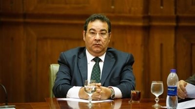 برلماني يؤيد مطلب وكيل الخطة والموازنة بتعديل مواد الدستور