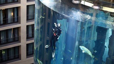 بالصور.. أكبر حوض أسماك أسطوانى في العالم