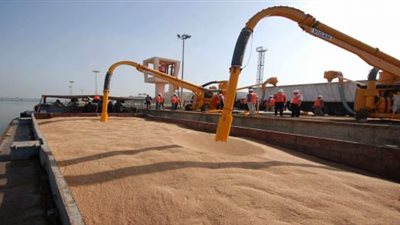 مخزون القمح بميناء الإسكندرية يصل إلى 900 ألف طن