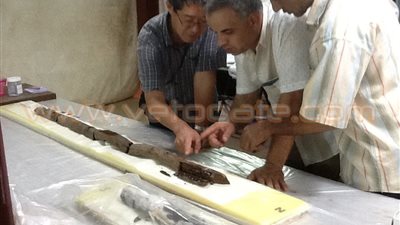 اليوم.. نقل ٣٧ قطعة خشبية من أخشاب «مركب خوفو» إلى المتحف الكبير