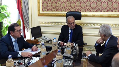 تطورات حملات إزالة التعديات على أملاك الدولة.. رئيس الوزراء: نواصل الجهود دون توقف.. لا تهاون مع أي متعدٍ للحفاظ على مقدرات الوطن.. ومجلس المحافظين يستعرض الاستفادة من الأراضي المستردة خلال أيام