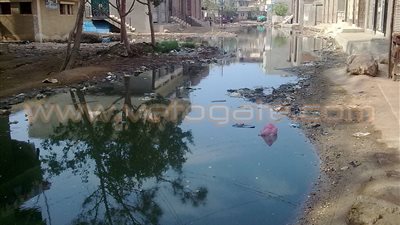 بالصور.. مياه الصرف الصحي تغرق قرية «قراقص» بالبحيرة