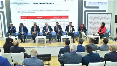 خبراء يضعون خارطة طريق لتعزيز التكامل الاقتصادي الأفريقى بمعرضي 