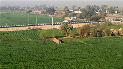 الإحصاء: 38.9 ألف فـدان مساحة الأراضي المستصلحة عام 2016/ 2017