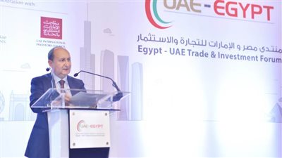 وزير الصناعة: حريصون على إيجاد شراكة مصرية إماراتية مشتركة في الأسواق الأفريقية