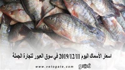 اسعار الأسماك اليوم 2019/12/11 في سوق العبور لتجارة الجملة