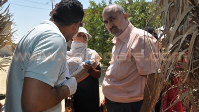 بالصور.. قوافل 