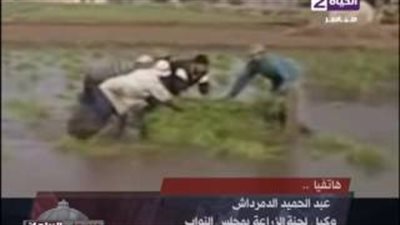 وكيل «زراعة النواب»: مصر تستورد 80 ألف طن أرز الفترة المقبلة